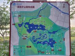 -南海子公园
