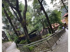 -吉隆坡雀鸟公园