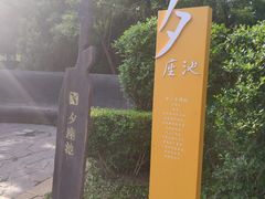 -前关湿地公园