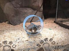 -zoonana室内动物园(东方福来德店)