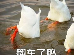 -小条食堂(三坊七巷店)