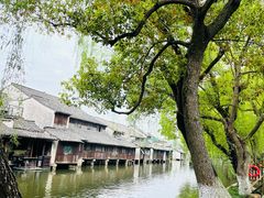 -乌镇东栅景区