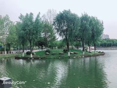 -后襄河公园