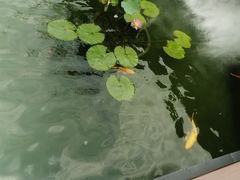 -濮园 · 四合院餐厅