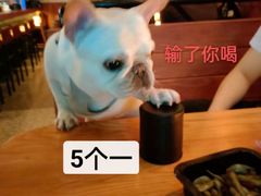 -猫员外精酿啤酒馆(国速荟店)