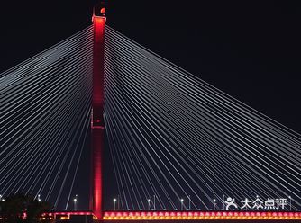 绿之丘开着的时候倒是从没想过上去看看… 滨江的话