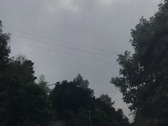 -铁山坪森林公园