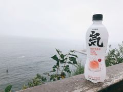 -燕窝岭
