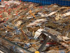 -一方渔歌蒸汽海鲜自助(文化路万达广场店)