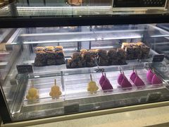-野人先生现做冰淇淋(西安赛格店)