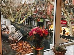 -蝶舍·MAISON PAPILLON