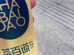 -茶百道(招商花园城店)