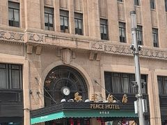 -上海和平饭店龙凤厅 Dragon Phoenix