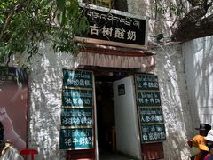 -古树酸奶(八廓南街店)