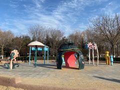 -大兴滨河森林公园