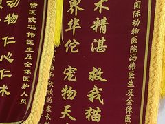 -中农国际动物医院24小时·猫科·骨科·急重症中心