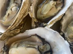 -港畔赶海蒸汽海鲜烧烤自助(仙螺岛店)