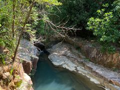 -广州白江湖森林公园