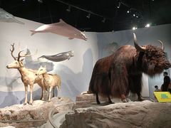 -中国湿地博物馆