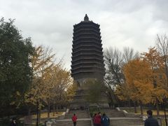 -玲珑塔公园