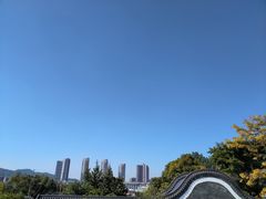 -广州神农草堂中医药博物馆