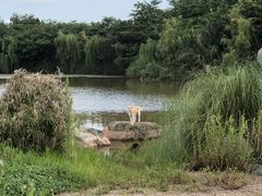 -西昌邛海湿地