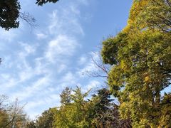 -八大关景区