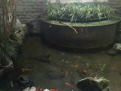 -白鹭原茶艺馆