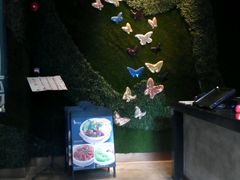 -蝴蝶汇音乐酒馆(罗湖店)