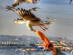 -海埂大坝