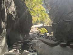 -黑河国家森林公园