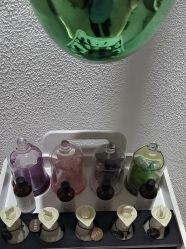 -薇薇安花系SPA
