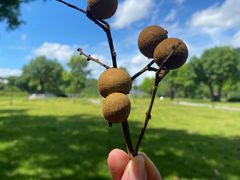 -风云岭森林公园