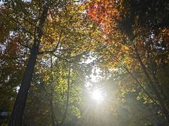 -遵化市禅林寺古银杏风景园