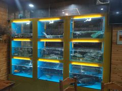 -淳安二十八道·美食汇·淳鱼馆(阳光路店)