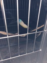 -酷嗒动物文化乐园(cutezoo西溪乐天城店)