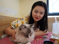 -滚猫咖啡·猫咖·猫友好撸猫(未来城店)