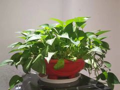 -王府井酒店(金桥港湾店)