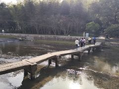 -兰亭风景区