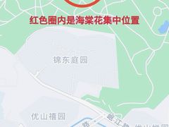 -塔子山公园