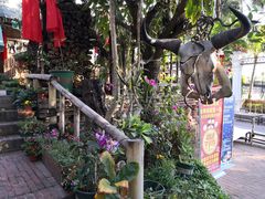 -火咂咂竹筒宴(告庄店)