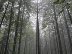 -山王坪喀斯特国家生态公园