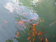 -灵栖洞天