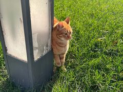 -陆家嘴世纪金融广场