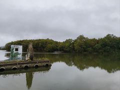 -大九湖