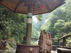 -九龙江国家森林公园