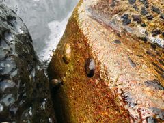 -白沙门生态公园