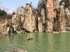 -秀丽东方