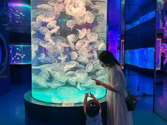 -左海海底世界