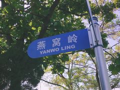 -燕窝岭
